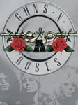 pic for guns & roses